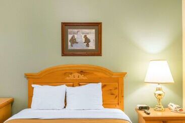酒店 Econo Lodge Inn & Suites