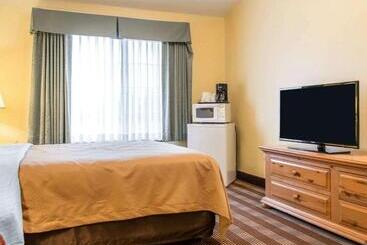 酒店 Econo Lodge Inn & Suites