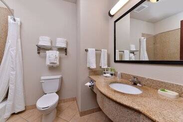 Holiday Inn Express Hotel & Suites Sherman Highway 75, An Ihg