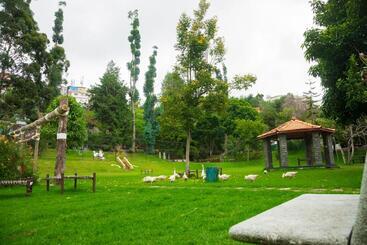هتل Kodai International