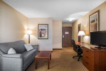 هتل Rodeway Inn & Suites
