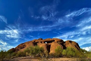 هتل Scottsdale