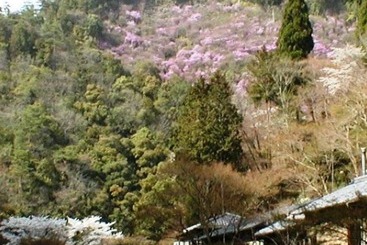 Hotel Takao Kanko