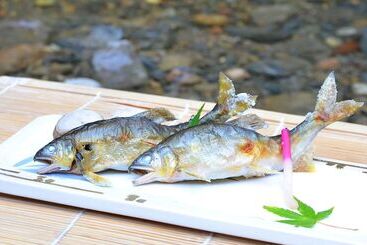 בית מלון כפרי Takao Kanko