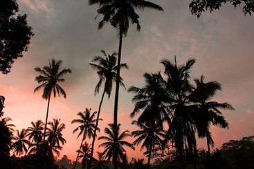 Ayurvedagram Bali