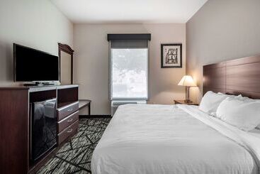 هتل Best Western Plus Mckinney Inn And Suites