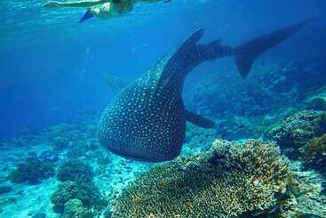 هتل Ningaloo Lodge Exmouth