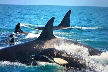 هتل Ningaloo Lodge Exmouth