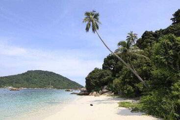 هتل Bubu Long Beach Resort