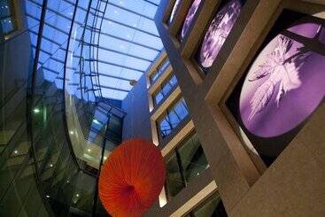 هتل Nexus Valladolid Suites &