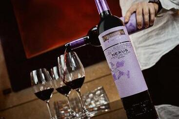 هتل Nexus Valladolid Suites &