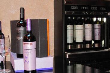 هتل Nexus Valladolid Suites &