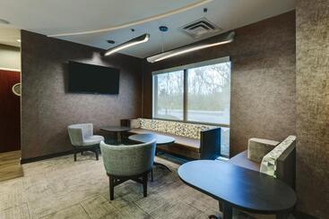 هتل Springhill Suites Dayton South/miamisburg