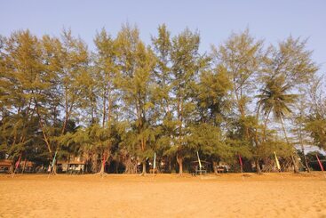 هتل The Qamar Paka