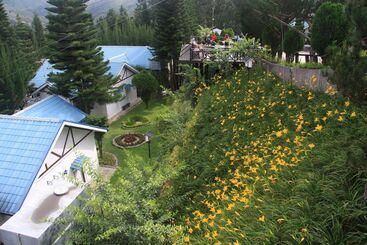 هتل Kinabalu Pine Resorts