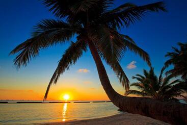 استراحتگاه Kurumba Maldives