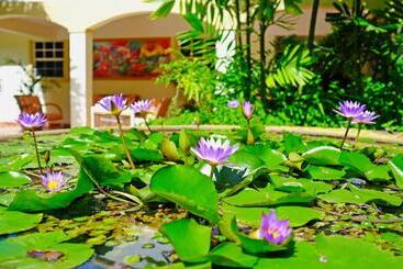 هتل Blue Horizons Garden Resort