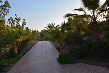 Mangrove Bay Resort