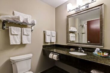 هتل Best Western Plus Brandon Inn