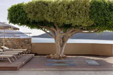 هتل Domes Aulus Elounda All Inclusive Resort, Curio By Hilton