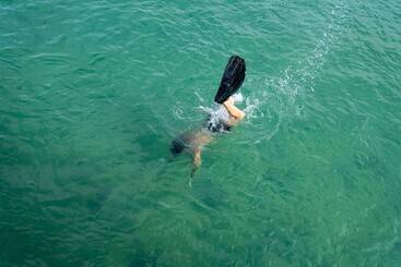 هتل Dugong Beach Lodge