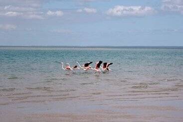 هتل Dugong Beach Lodge