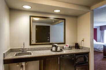 Hampton Inn & Suites Detroit / Airport   Romulus