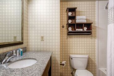 Hampton Inn & Suites Detroit / Airport   Romulus