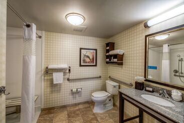 Hampton Inn & Suites Detroit / Airport   Romulus
