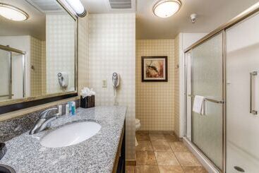 Hampton Inn & Suites Detroit / Airport   Romulus