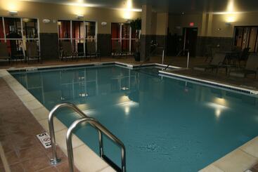 Hampton Inn & Suites Detroit / Airport   Romulus