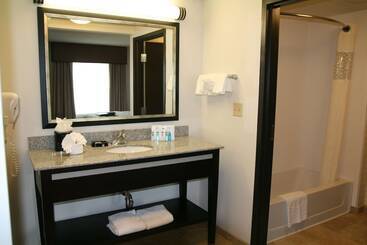 Hampton Inn & Suites Detroit / Airport   Romulus