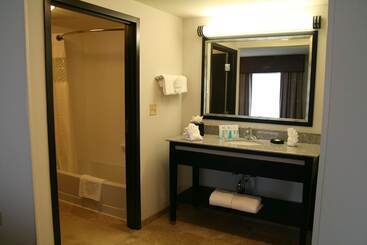 Hampton Inn & Suites Detroit / Airport   Romulus