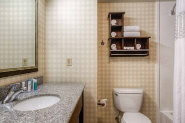 Hampton Inn & Suites Detroit / Airport   Romulus