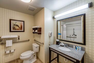 Hampton Inn & Suites Detroit / Airport   Romulus