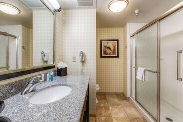 Hampton Inn & Suites Detroit / Airport   Romulus