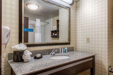 Hampton Inn & Suites Detroit / Airport   Romulus