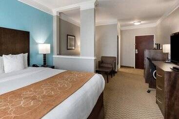 هتل Comfort Suites At Katy Mills