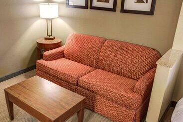 هتل Comfort Suites Gadsden Attalla