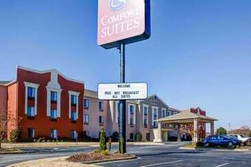 هتل Comfort Suites Gadsden Attalla