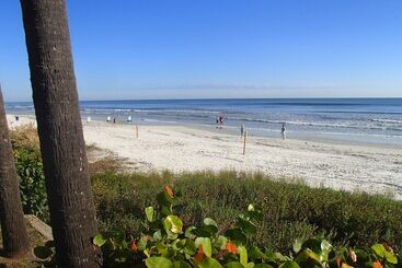 هتل Flamingo Inn Beachfront