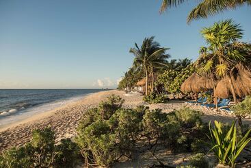 هتل Grand Riviera Princess - All Inclusive