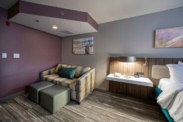 Отель Hilton Garden Inn Rapid City