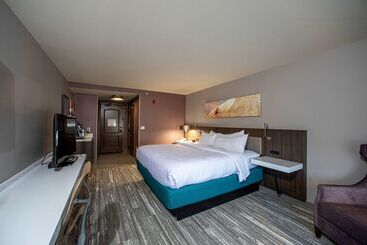 Отель Hilton Garden Inn Rapid City