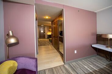 Отель Hilton Garden Inn Rapid City