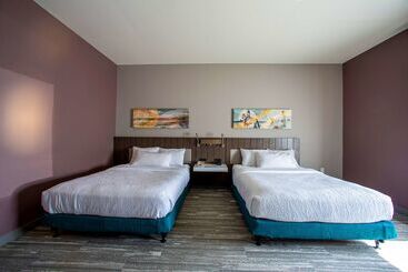 Отель Hilton Garden Inn Rapid City