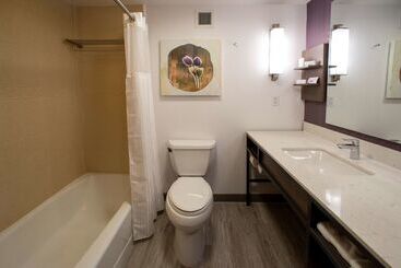 ホテル Hilton Garden Inn Rapid City