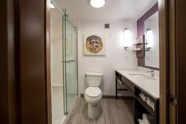 Отель Hilton Garden Inn Rapid City