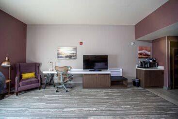 Отель Hilton Garden Inn Rapid City
