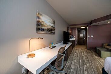 Отель Hilton Garden Inn Rapid City